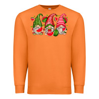 Carrot watermelon gnomes Premium Sweatshirt - Zillion Design Studio