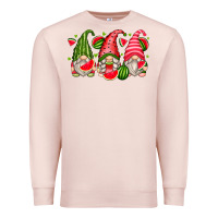 Pale Pink watermelon gnomes Premium Sweatshirt - Zillion Design Studio