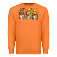 Carrot juneteenth gnomes Premium Sweatshirt - Zillion Design Studio