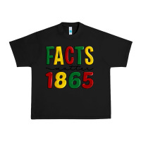 Black facts matter 1865 Urban Heavy Tee - Artiststas