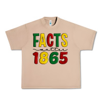 Burro facts matter 1865 Urban Heavy Tee - Artiststas