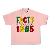 Salmon facts matter 1865 Urban Heavy Tee - Artiststas