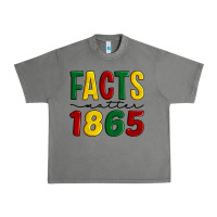 Tornado facts matter 1865 Urban Heavy Tee - Artiststas