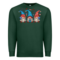 Sports Green fourth of july gnomes Premium Sweatshirt - Zillion Design Studio