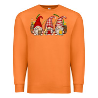 Carrot beer gnomes Premium Sweatshirt - Zillion Design Studio