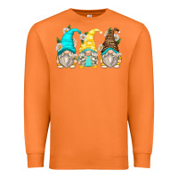Carrot daisy gnomes Premium Sweatshirt - Zillion Design Studio