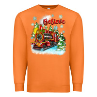 Carrot christmas polar express believe Premium Sweatshirt - Zillion Design Studio