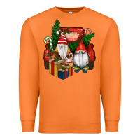 Carrot Christmas Truck And Gnome Premium Sweatshirt - RanaPortraitStore