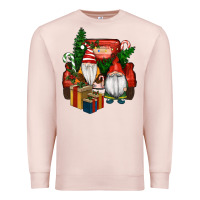 Pale Pink Christmas Truck And Gnome Premium Sweatshirt - RanaPortraitStore