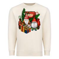 Sandshell Christmas Truck And Gnome Premium Sweatshirt - RanaPortraitStore