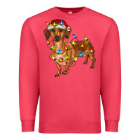 Cardinal Dachshund Christmas Lights Premium Sweatshirt - RanaPortraitStore