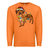 Carrot Dachshund Christmas Lights Premium Sweatshirt - RanaPortraitStore