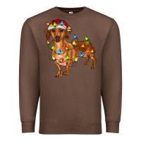 Chestnut Dachshund Christmas Lights Premium Sweatshirt - RanaPortraitStore