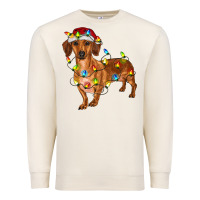 Sandshell Dachshund Christmas Lights Premium Sweatshirt - RanaPortraitStore