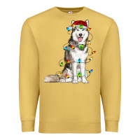 Antique Gold Husky Christmas Lights Premium Sweatshirt - RanaPortraitStore