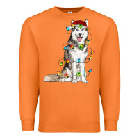 Carrot Husky Christmas Lights Premium Sweatshirt - RanaPortraitStore