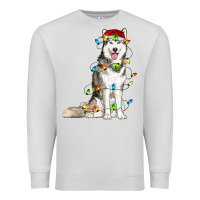 Dove Grey Husky Christmas Lights Premium Sweatshirt - RanaPortraitStore