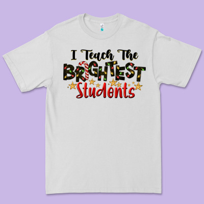 I Teach The Brightest Students Premium Tee Designed By Lillyallendesigns