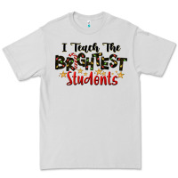 Dove Grey I Teach The Brightest Students Premium Tee - LillyAllenDesigns