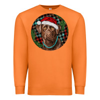 Carrot Labrador Retriever Christmas Premium Sweatshirt - RanaPortraitStore