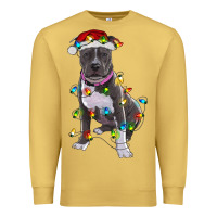 Antique Gold Pitbull With Christmas Lights Premium Sweatshirt - RanaPortraitStore