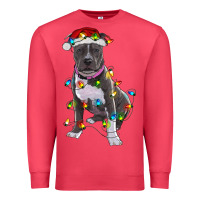 Cardinal Pitbull With Christmas Lights Premium Sweatshirt - RanaPortraitStore