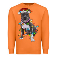 Carrot Pitbull With Christmas Lights Premium Sweatshirt - RanaPortraitStore