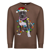 Chestnut Pitbull With Christmas Lights Premium Sweatshirt - RanaPortraitStore