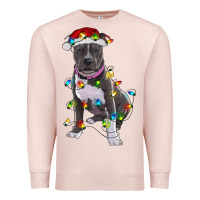 Pale Pink Pitbull With Christmas Lights Premium Sweatshirt - RanaPortraitStore