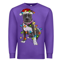 Purple Pitbull With Christmas Lights Premium Sweatshirt - RanaPortraitStore