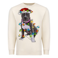 Sandshell Pitbull With Christmas Lights Premium Sweatshirt - RanaPortraitStore