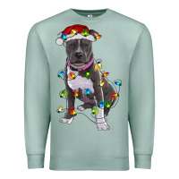 Seafoam Pitbull With Christmas Lights Premium Sweatshirt - RanaPortraitStore