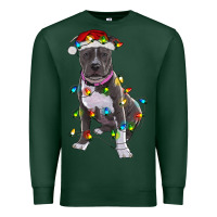 Pitbull With Christmas Lights Premium Sweatshirt | Teevron
