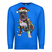 True Royal Pitbull With Christmas Lights Premium Sweatshirt - RanaPortraitStore