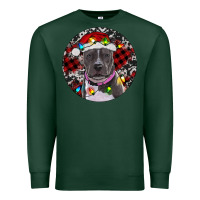 Sports Green Pitbull And Buffalo Plaid Premium Sweatshirt - RanaPortraitStore