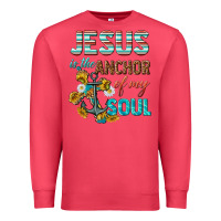 Cardinal jesus is the anchor of my soul Premium Sweatshirt - texasbilliewilder