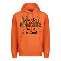 Carrot santa's favorite student assistant Premium Hoodie - AdoDesignShop