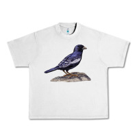 Lunar Rock Lark Bunting Colorado State Bird Urban Heavy Tee - RanaPortraitStore