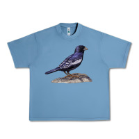 Pebble Blue Lark Bunting Colorado State Bird Urban Heavy Tee - RanaPortraitStore
