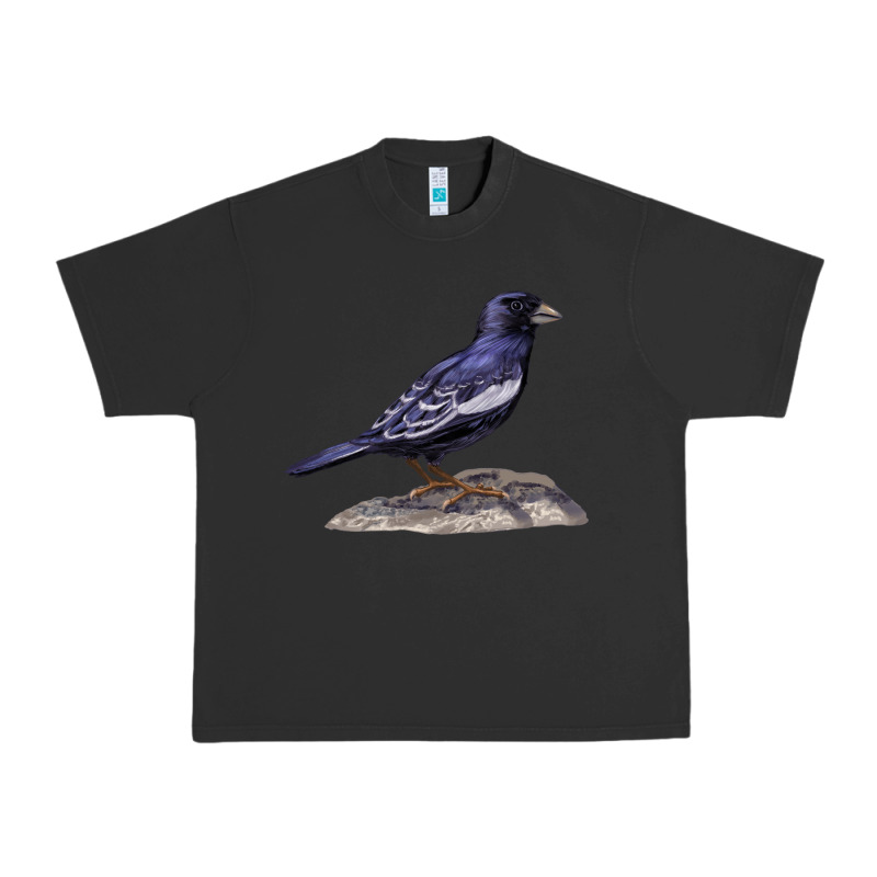 Lark Bunting Colorado State Bird Urban Heavy Tee by RanaPortraitStore | Teevron