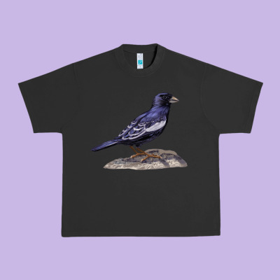 Lark Bunting Colorado State Bird Urban Heavy Tee Designed By Ranaportraitstore