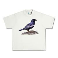 Pistachio Lark Bunting Colorado State Bird Urban Heavy Tee - RanaPortraitStore