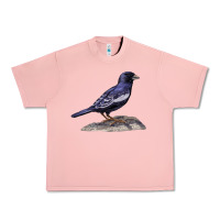Salmon Lark Bunting Colorado State Bird Urban Heavy Tee - RanaPortraitStore