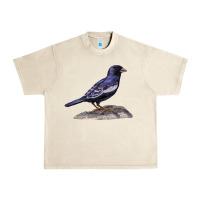 Sandshell Lark Bunting Colorado State Bird Urban Heavy Tee - RanaPortraitStore