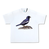 White Lark Bunting Colorado State Bird Urban Heavy Tee - RanaPortraitStore