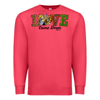 Cardinal Love Came Down Baby Jesus Christmas Premium Sweatshirt - RanaPortraitStore