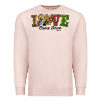 Pale Pink Love Came Down Baby Jesus Christmas Premium Sweatshirt - RanaPortraitStore