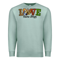 Love Came Down Baby Jesus Christmas Premium Sweatshirt | Teevron