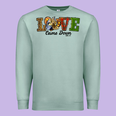 Premium Sweatshirt Love Came Down Baby Jesus Christmas