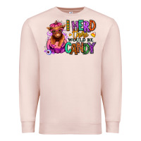 Pale Pink I herd there would be candy Heifer Premium Sweatshirt - RanaPortraitStore